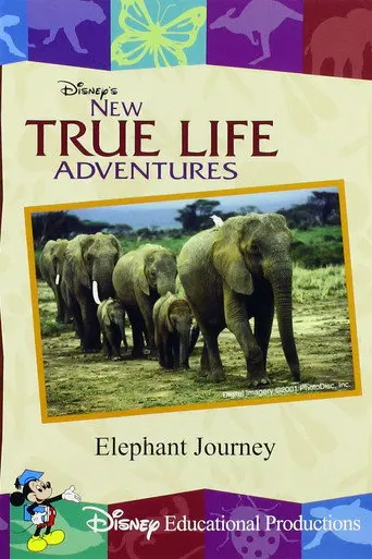 Elephant Journey (2000)