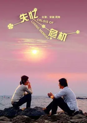 失忆危机 (2010)