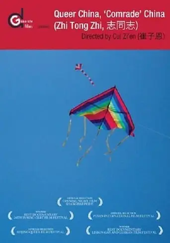 Queer China, 'Comrade' China (2009)