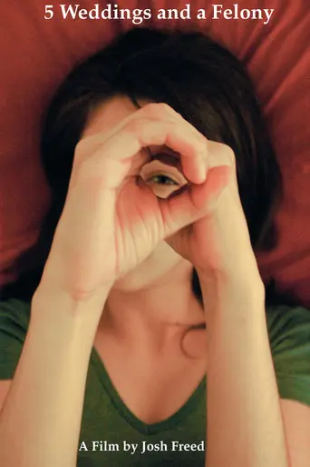 5 Weddings and a Felony (2010)