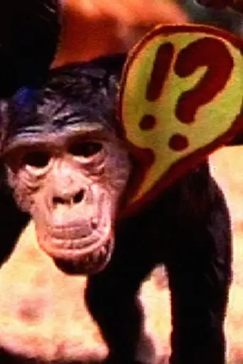 Lisboa-Boa 345 A.E. (2000)