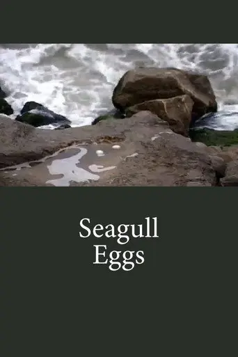 Seagull Eggs (2008)