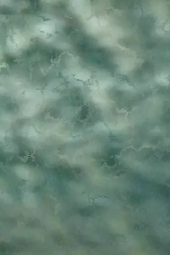 Catch (2005)