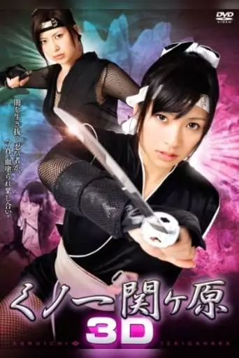 Kunoichi Sekigahara 3D (2010)