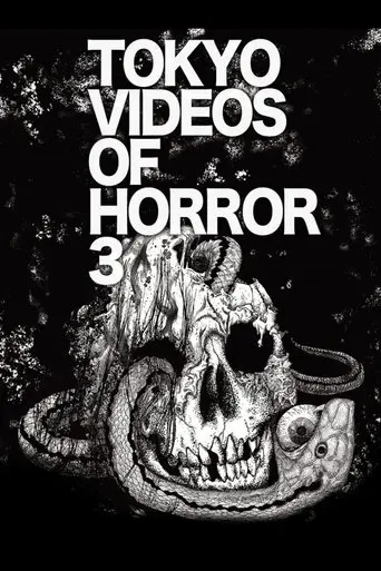 Tokyo Videos of Horror 3 (2012)