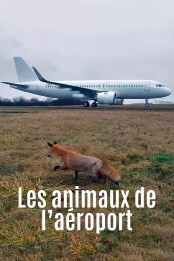Les Animaux De L'aeroport (2023)