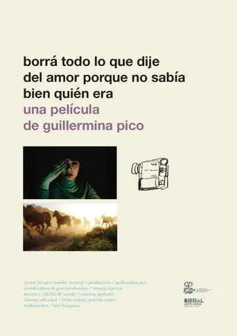 Borrá todo lo que dije del amor porque no sabía bien quién era (2016)