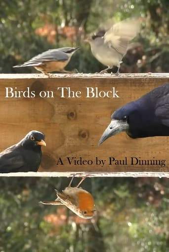 Birds On The Block (2023)