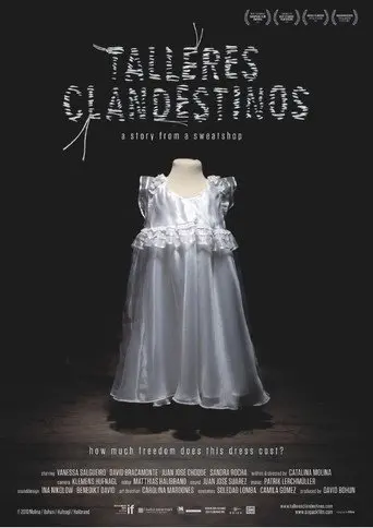 Talleres clandestinos (2010)