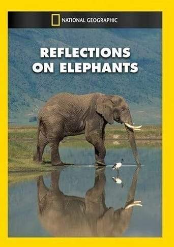 Reflections On Elephants (1994)