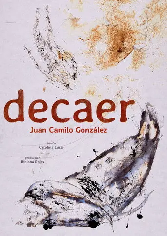 decay (2026)