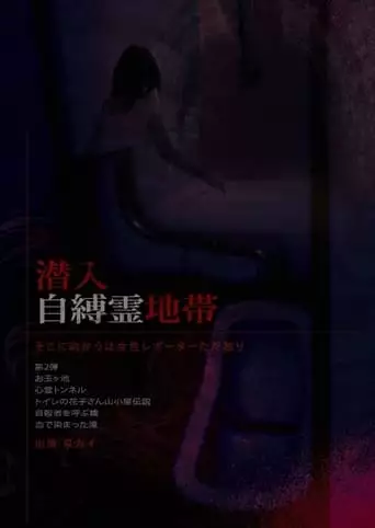Infiltration: The Haunted Zone - A Female Reporter Goes Alone. (2009)