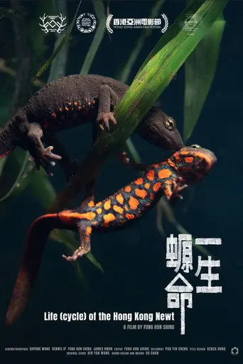 Life (cycle) of the Hong Kong Newt (2024)