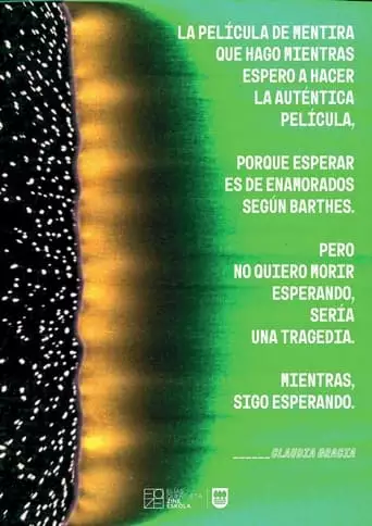 LA PELICULA DE MENTIRA (2024)