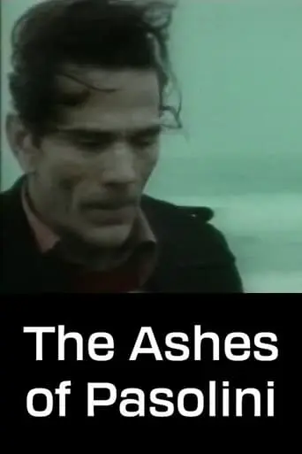 The Ashes of Pasolini (1994)