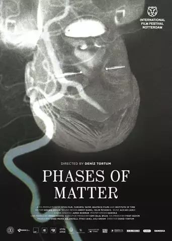Phases of Matter (2020)
