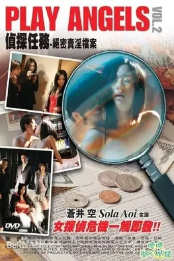 探偵任務 極秘売春ファイル (2009)