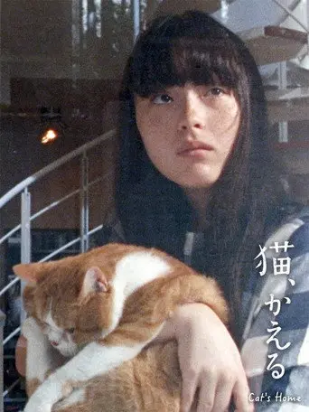 Cat's Home (2020)