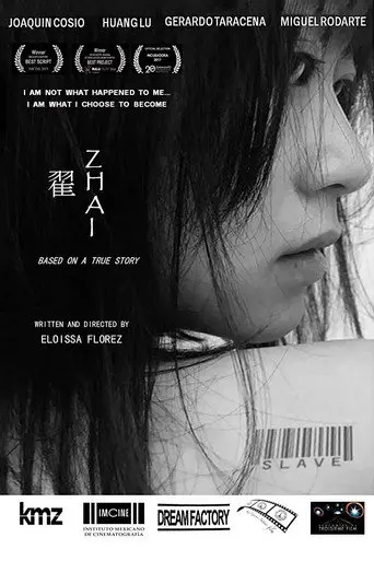 Zhai (2017)