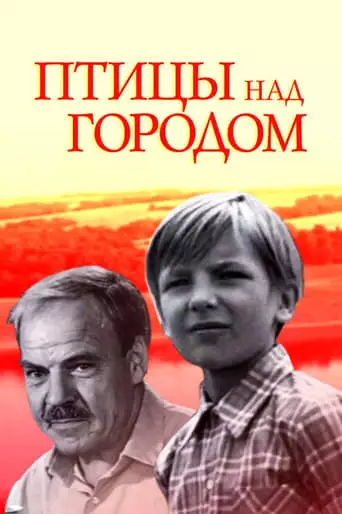 Birds Over the City (1974)