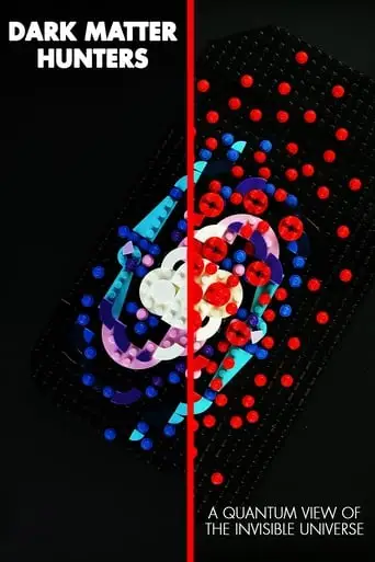 Dark Matter Hunters: A Quantum View Of The Invisible Universe (2024)