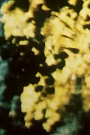 Broken Blossoms (1992)