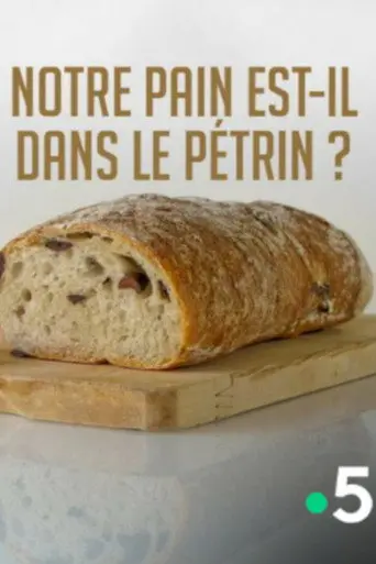 Notre pain est-il dans le pétrin ? (2017)