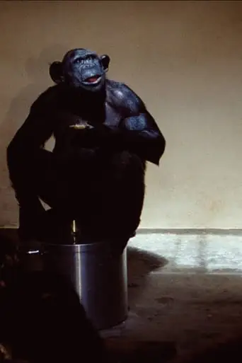 The Soup (2009)