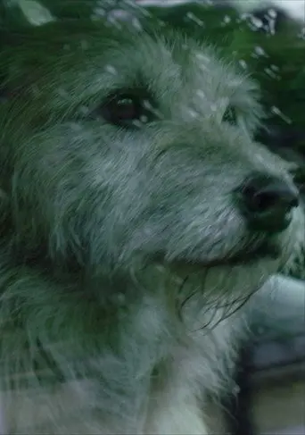 Doggone (2015)