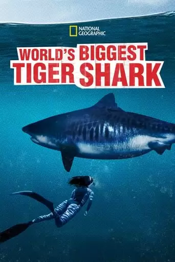 World's Biggest Tiger Shark (2020)