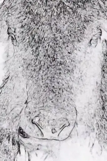 Écriture (2019)