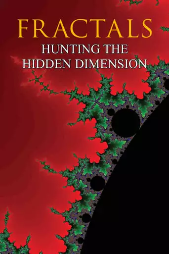 Hunting The Hidden Dimension (2008)