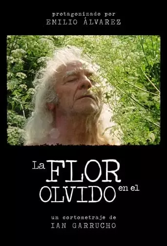 La Flor En El Olvido (2023)