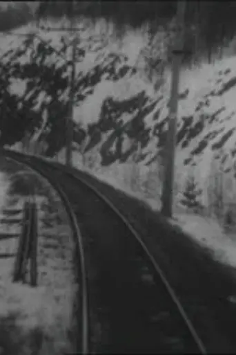 Arrival of the Train (1995)