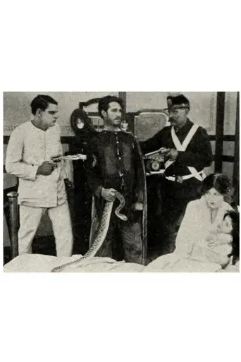 The Rattlesnake (1913)