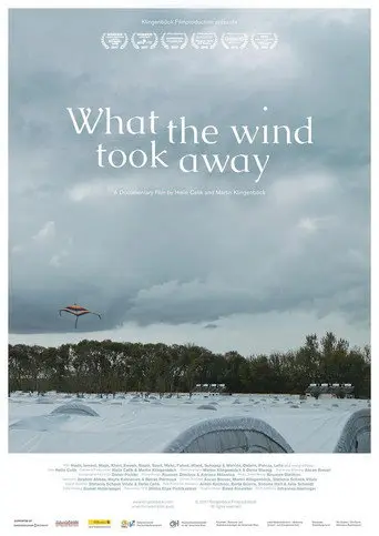 What the Wind Took Away (2017)