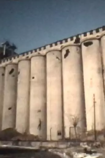 Silo Danube, Vukovar (1993)