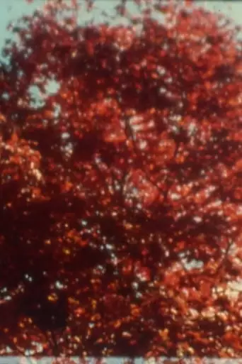 Burning (2002)
