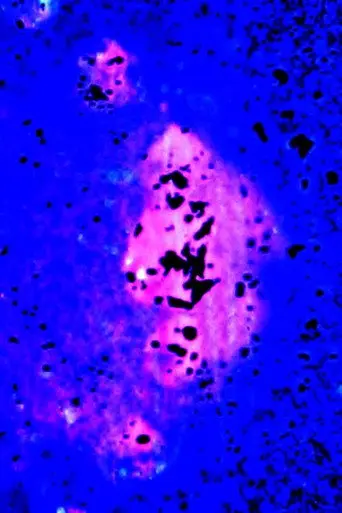Aura (2006)