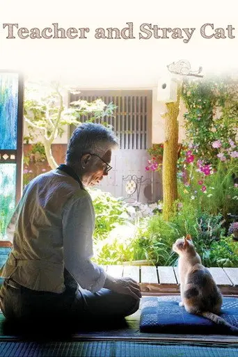 Teacher and Stray Cat (2015)