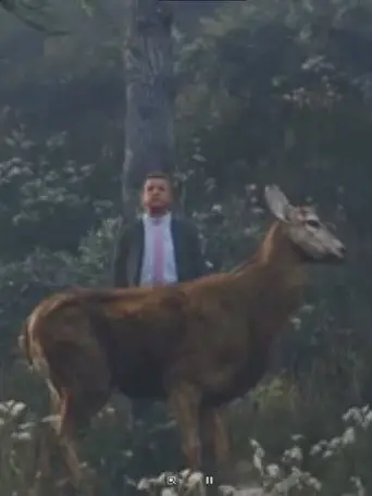 The Deer Gift (2020)
