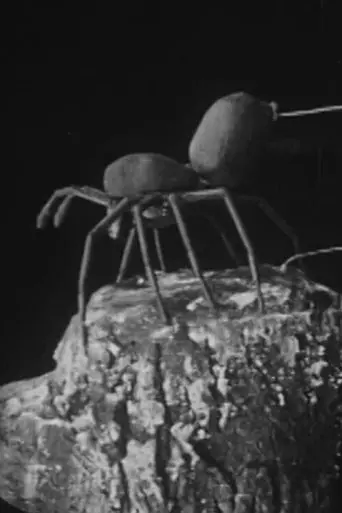 Urban Science: To Demonstrate How Spiders Fly (1909)
