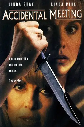 Accidental Meeting (1994)