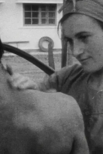 Nursing History (2017)