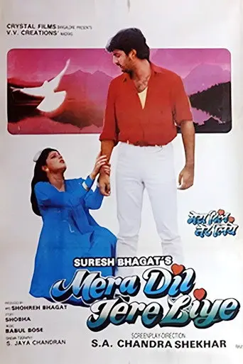 Mera Dil Tere Liye (1992)