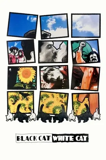 Black Cat, White Cat (1998)