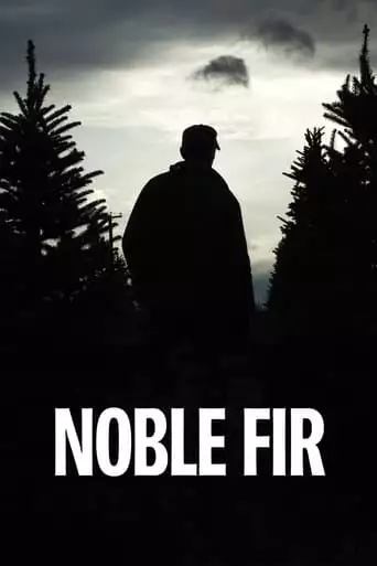 Noble Fir (2014)