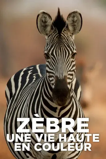Zèbre, une vie haute en couleur (2022)