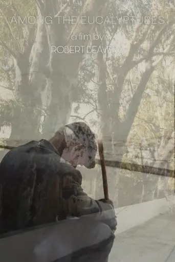 Among the Eucalyptuses (2017)