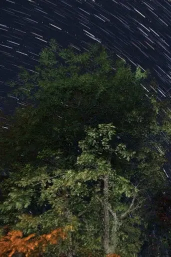 The Summer Triangle (2023)